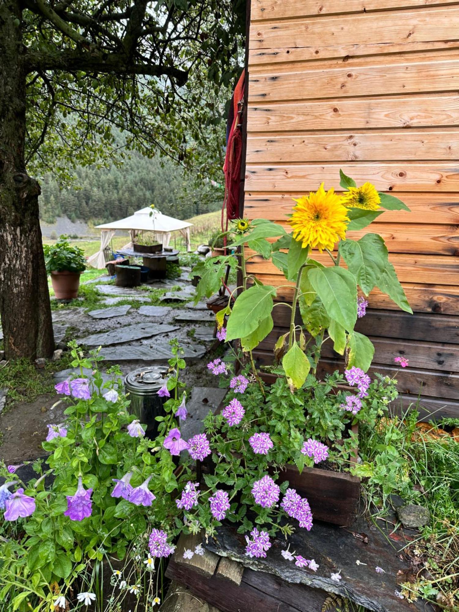 Pirikiti Hotel Akhmeta Kültér fotó