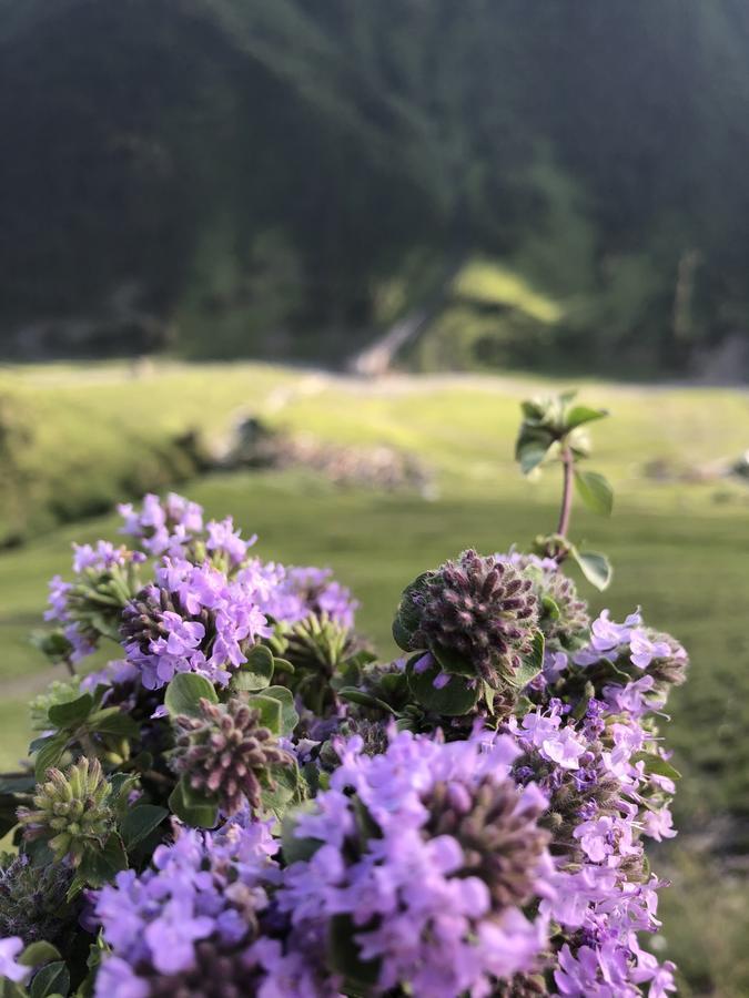 Pirikiti Hotel Akhmeta Kültér fotó